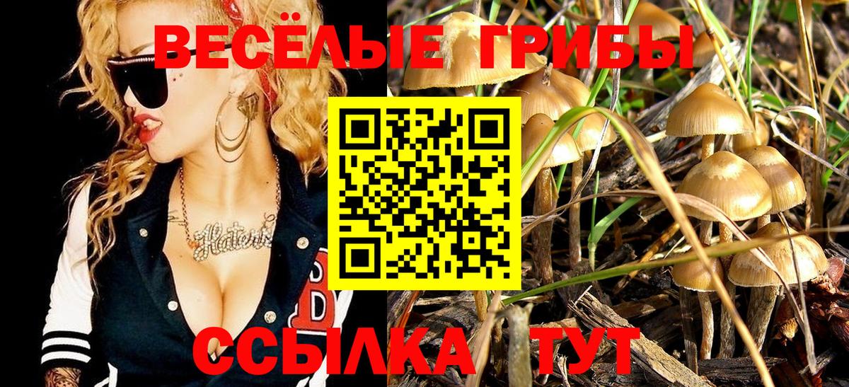 Галлюциногенные грибы Magic Shrooms  наркота  Лесозаводск  Вход с VPN 