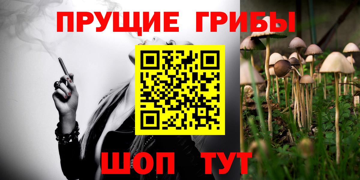 Галлюциногенные грибы Psilocybine cubensis Лесозаводск